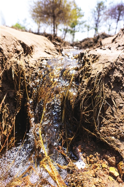     積水形成的沼澤四處可見汪汪流水。
