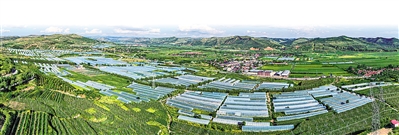     沿河谷川道區(qū)打造冷涼蔬菜產(chǎn)業(yè)帶。