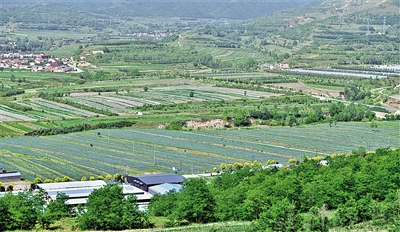     農(nóng)田與山川構(gòu)成一幅鄉(xiāng)村振興畫卷。