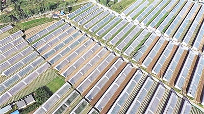     高標準現(xiàn)代化設施蔬菜大棚。