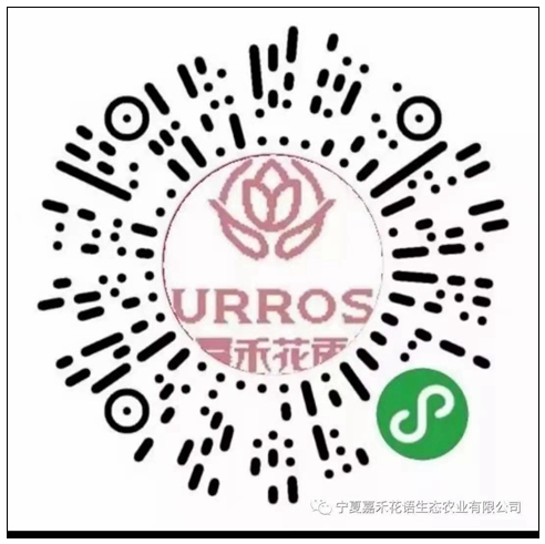 嘉禾花語(yǔ)—微店小程序.jpg