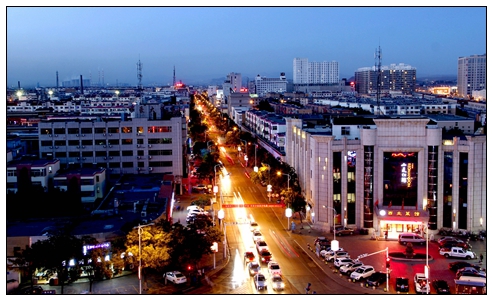 惠農(nóng)夜景--胡炳華、58歲、電話13995322811.jpg