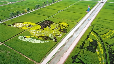 <p>　　　　中寧縣余丁鄉(xiāng)稻漁空間。</p>