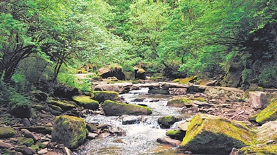 <p>　　　　六盤山國(guó)家森林公園（小南川）。</p>