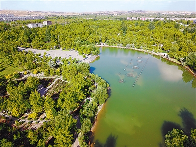 <p>　　　　棗博園　　　?。ū景嫖膱D均靈武市文化旅游廣電局提供）</p>
