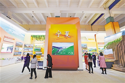寧夏展區(qū)借助實(shí)物、模型、圖片、裸眼3D技術(shù)等，展示了黨的十八大以來寧夏所取得的不凡成就。