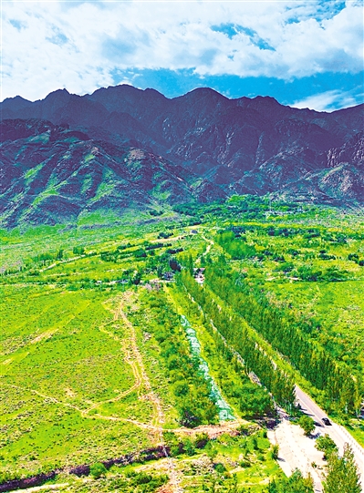     綠色——賀蘭山，寧夏的父親山。隨著近年來賀蘭山生態(tài)保衛(wèi)戰(zhàn)的打響，賀蘭山生態(tài)逐步恢復(fù)，是寧夏踐行“綠水青山就是金山銀山”理念的生動寫照。     本報(bào)記者 馬楠 攝