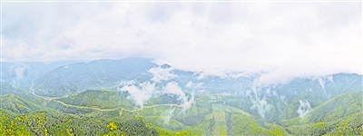     清晨，薄霧籠罩六盤山。