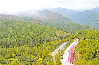     位于六盤山國家森林公園內(nèi)的王化南護(hù)林點(diǎn)。