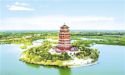 山東省濱州市濱城區(qū)蒲湖公園。大眾日報記者 程芃芃 攝